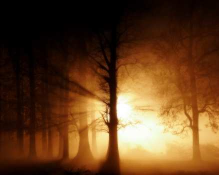 Piła szkoła jazdy kategoria b