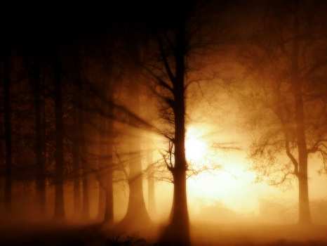 nauka jazdy Piła kategoria B