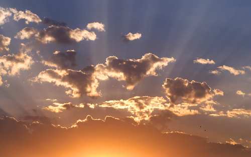 prawo jazdy kategoria am w Pile