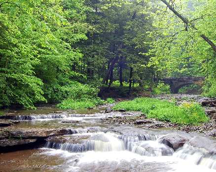 Piła szkoła nauki jazdy