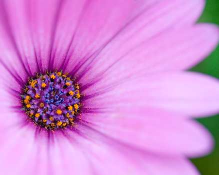 szkola jazdy kat. B Pila