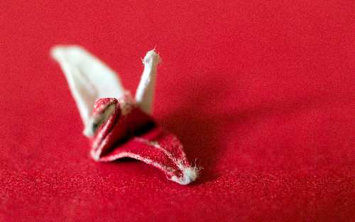 Piła szkoła jazdy kat am