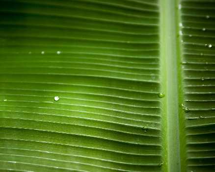 Piła szkoła jazdy kategoria am