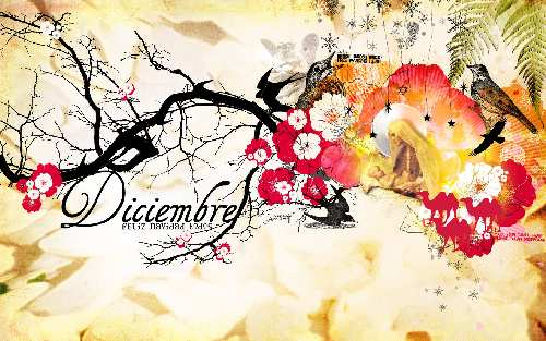 prawo jazdy Piła rajek