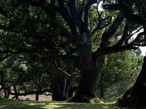 kurs nauki jazdy Piła
