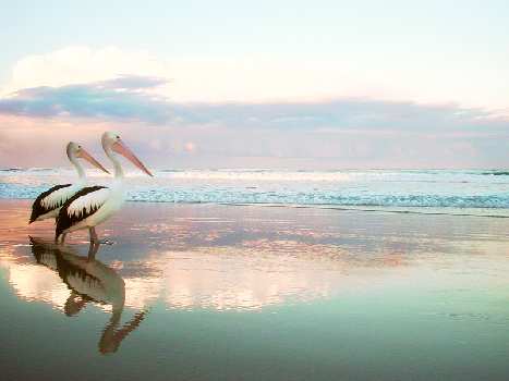 Piła kategoria b Piła kategoria b