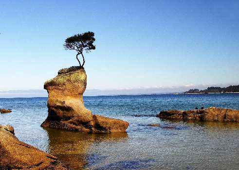 nauka jazdy kategoria a Piła