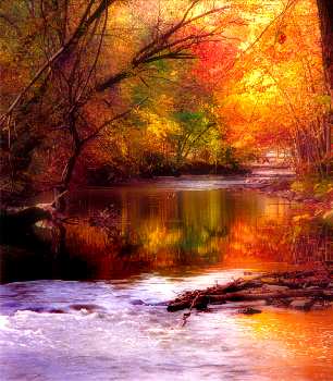 prawo jazdy kategoria B Piła