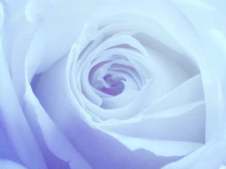 Pila szkola nauki jazdy