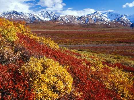 naprawa mechanik Ujście