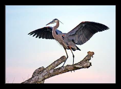 Pila kurs prawa jazdy