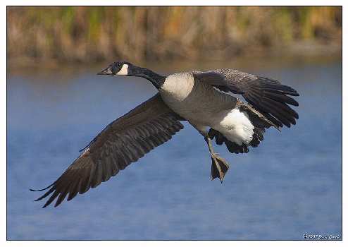 kursy nauki jazdy Piła