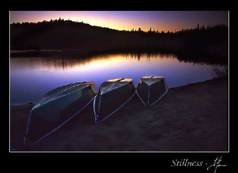 Piła kat. B nauka jazdy