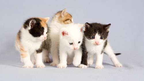 kursy nauki jazdy w Pile