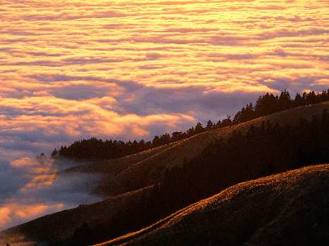 szkoła jazdy Piła rajek