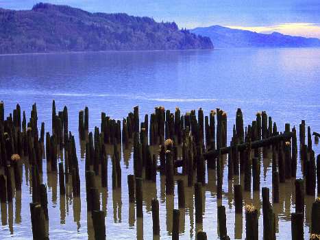 nauka jazdy kategoria ce Piła