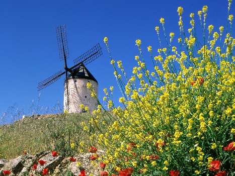 tania szkoła jazdy Piła