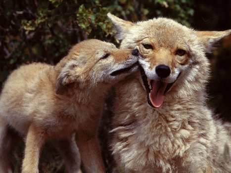 kursy nauki jazdy Piła