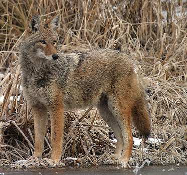 kursy prawa jazdy w Pile