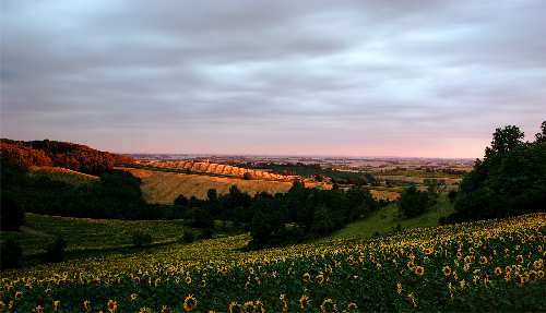 nauka jazdy kategoria c w Pile