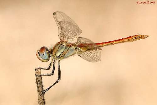 klimatyzacja samochodowa Złotów