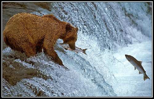 Piła nauka jazdy kat am