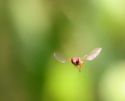 Piła szkoła jazdy kategoria ce