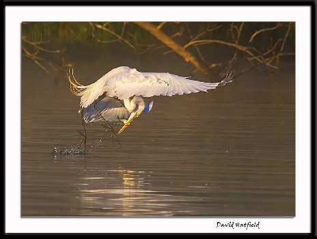 szkoła jazdy Piła rajek