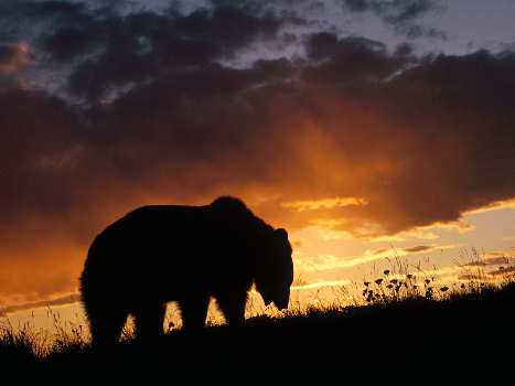 szkoła nauki jazdy Piła