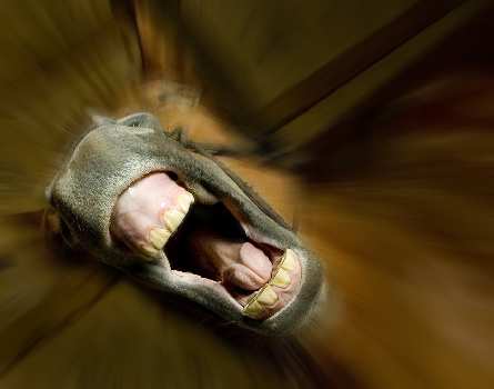 serwis mechanik Czarnków