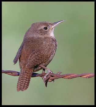 nauka jazdy kat. B Pila