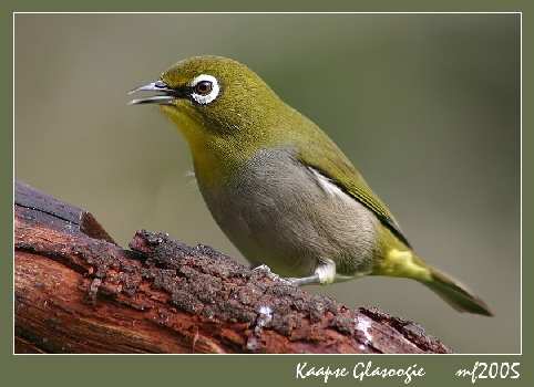 klimatyzacja samochodowa Wałcz