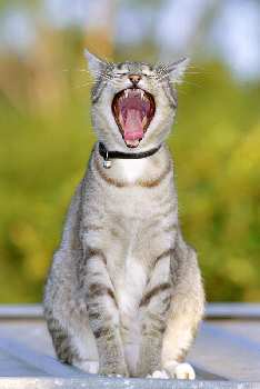 klimatyzacja samochodowa Wałcz