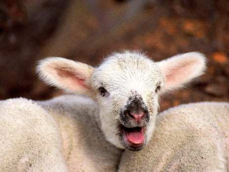 szkola jazdy kat. B Pila