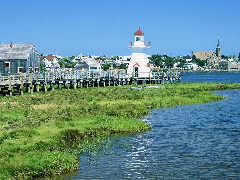 Pila kat. B szkola jazdy