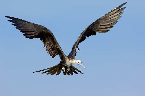 nauka jazdy rajek Piła