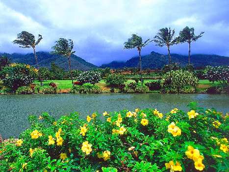 prawo jazdy kategoria a w Pile