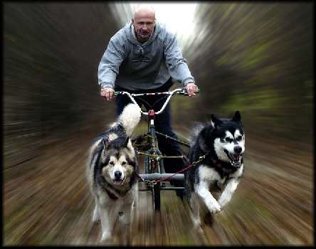 kursy prawa jazdy Pila