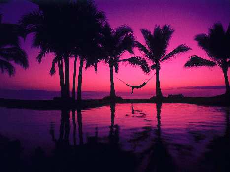 naprawa samochodu Czarnków