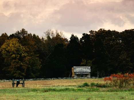 Piła kat. B szkoła jazdy