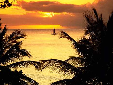 szkola nauki jazdy Pila