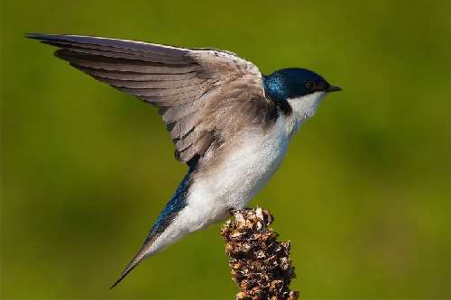 Pila kategoria B szkola jazdy