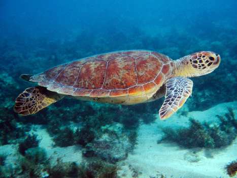 nauka jazdy kategoria c w Pile