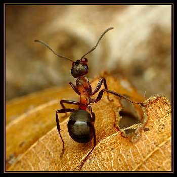 nauka jazdy Piła kategoria B