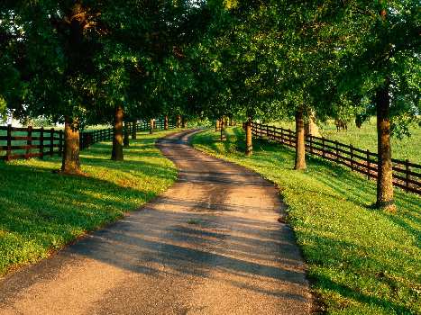 Piła kursy nauki jazdy