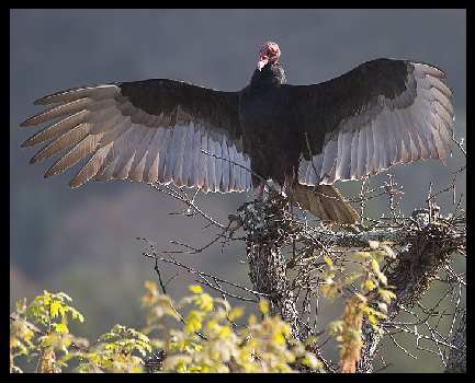 szkoła jazdy kat c w Pile