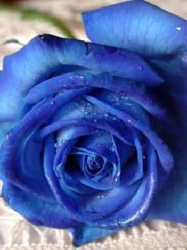 nauka jazdy kat. B Pila