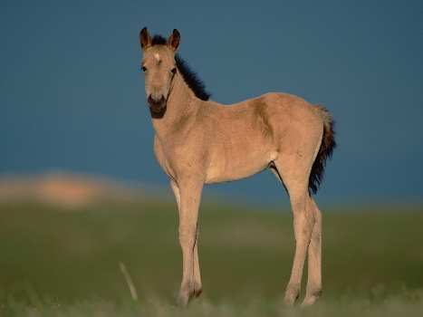 nauka jazdy kat am w Pile