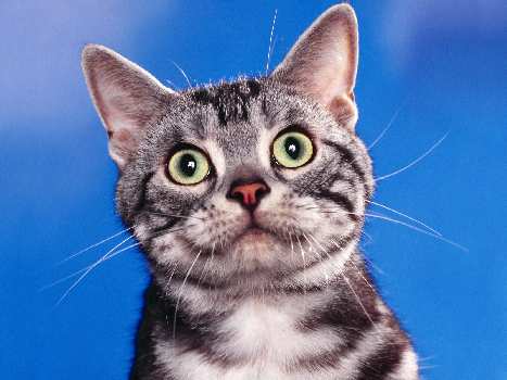 szkoła jazdy Piła kategoria CE