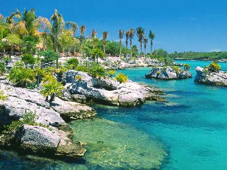 Pila kat. B nauka jazdy